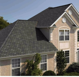 Шинглас Модерн