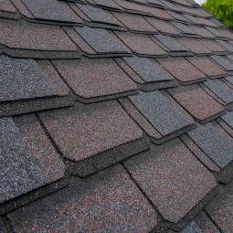 Шинглас Континент